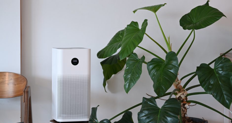 How to Quickly Improve Indoor Air Quality